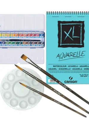 Premium Set acuarelas Van Gogh calidad media