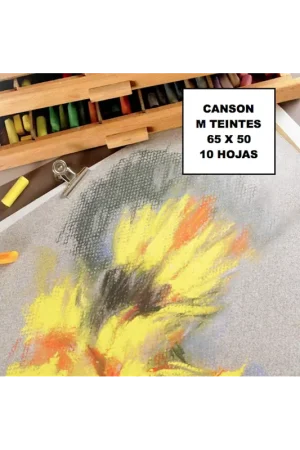 Alta Calidad Papel Canson M-Teintes colores