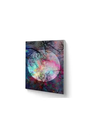 LIENZO PINTAR POR NUMEROS CON BASTIDOR 40X50CM  LA MAGIA DE LA LUNA LLENA Auténtico