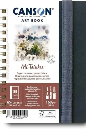 Novedad BLOC CANSON MI-TEINTES A5 160 GR 40 H