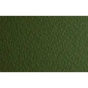 Nuevo Modelo PAPEL FABRIANO TIZIANO MUSCHIO 160 GR 50x65 CM