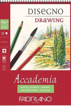 BLOC FABRIANO ACCADEMIA 200 GR A4 30 H ESPIRAL Envío Exprés