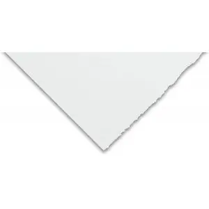 Ordena Ya Canson Edition 320 gr., 76x112 cm., Extra Blanco