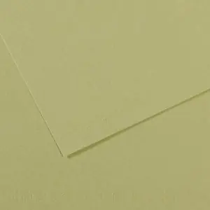 Ordena Ya Mi-teintes Canson Verde Almendra, 160 gr., 50x65 cm. (480)