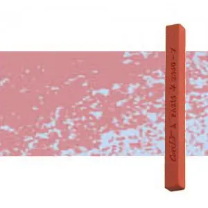 Garantía Incluida Carres Conte Esbozo Rosa retrato