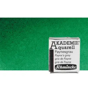 Acuarela Schmincke Akademie, Verde Permanente 553, 1/2 Godet. * Última Versión