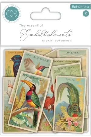 Precio Bajo Craft Consortium The Collector Ephemera Birds