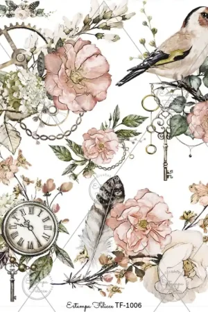 Últimas Unidades Transfer Color MAXI.-